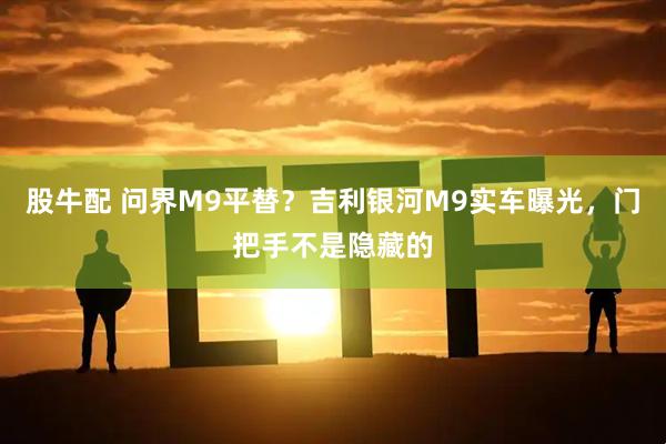 股牛配 问界M9平替？吉利银河M9实车曝光，门把手不是隐藏的