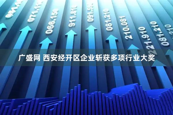 广盛网 西安经开区企业斩获多项行业大奖