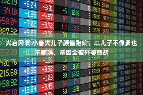 兴启网 陈小春大儿子颜值跑偏，二儿子不像爹也不随妈，基因全被外婆截胡