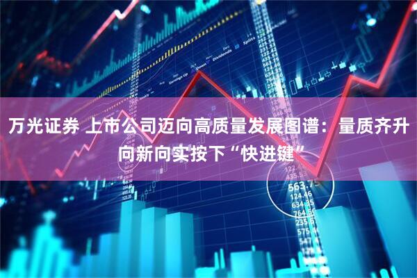 万光证券 上市公司迈向高质量发展图谱：量质齐升 向新向实按下“快进键”