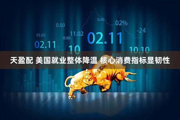 天盈配 美国就业整体降温 核心消费指标显韧性